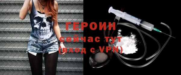 хмурый Алексин