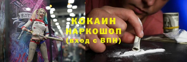 хмурый Алексин