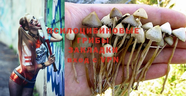 каннабис Алзамай