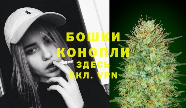 молекула духа Новозыбков