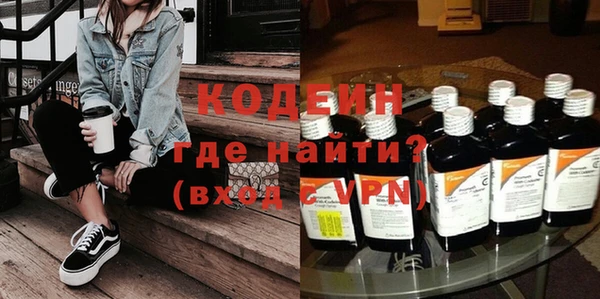 хмурый Алексин