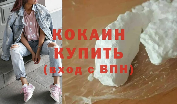молекула духа Новозыбков