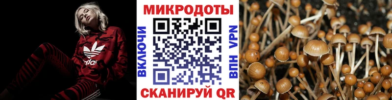 что такое наркотик Межгорье Галлюциногенные грибы Cubensis